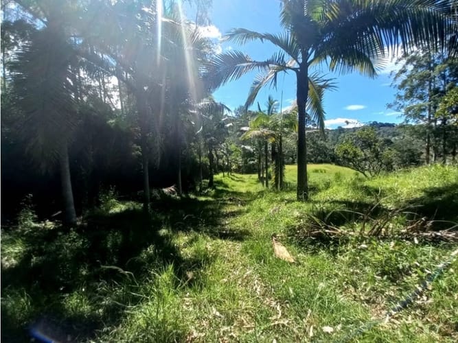 Lote en arriendo en Llano Grande, Rionegro, 12270 m² · foto 6 de 10