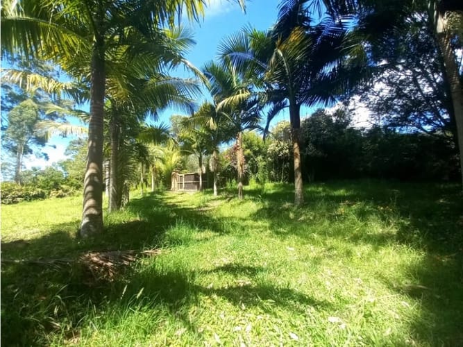 Lote en arriendo en Llano Grande, Rionegro, 12270 m² · foto 7 de 10