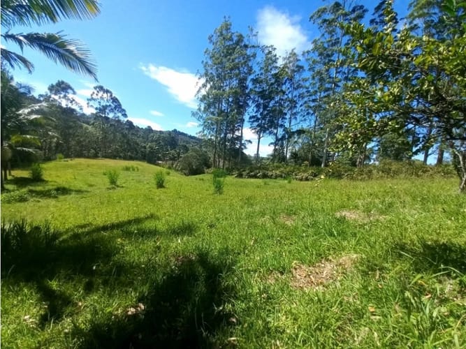 Lote en arriendo en Llano Grande, Rionegro, 12270 m² · foto 8 de 10