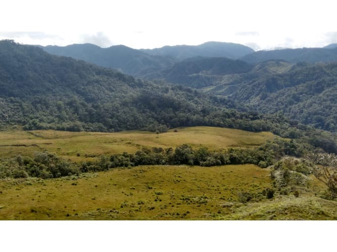 Lote en venta en El Carmen De Viboral, El Carmen de Viboral · foto 2 de 3
