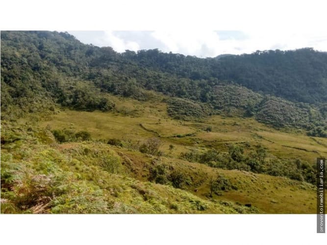 Lote en venta en El Carmen De Viboral, El Carmen de Viboral · foto 3 de 3