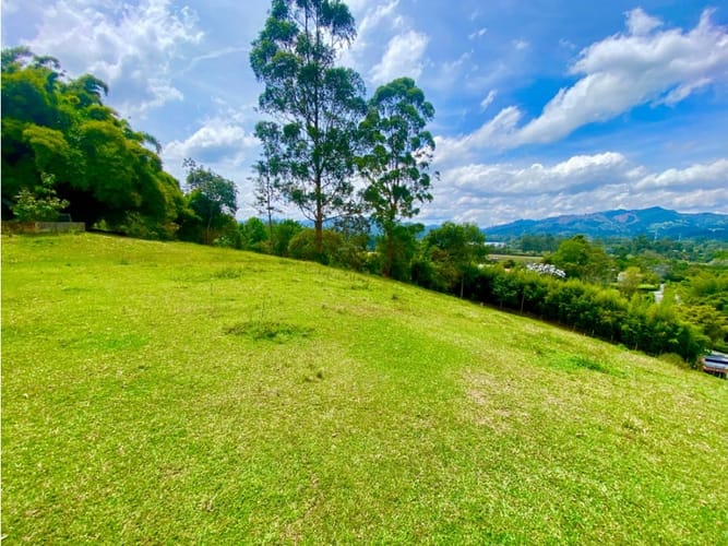 Lote en arriendo en Llano Grande, Rionegro, 20000 m² · foto 2 de 20