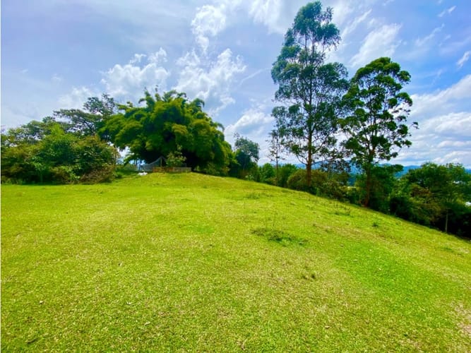 Lote en arriendo en Llano Grande, Rionegro, 20000 m² · foto 3 de 20