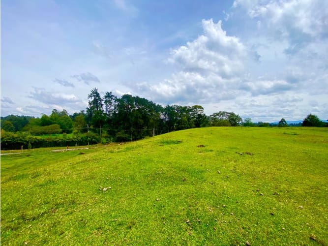 Lote en arriendo en Llano Grande, Rionegro, 20000 m² · foto 4 de 20