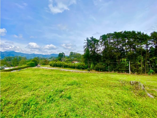 Lote en arriendo en Llano Grande, Rionegro, 20000 m² · foto 7 de 20
