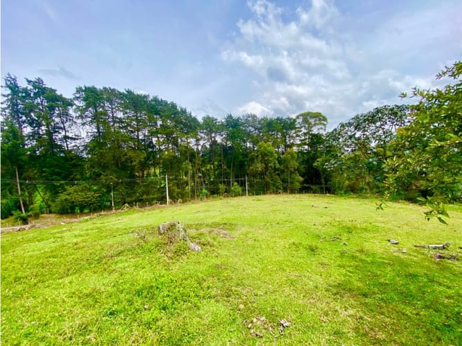 Lote en arriendo en Llano Grande, Rionegro, 20000 m² · foto 11 de 20