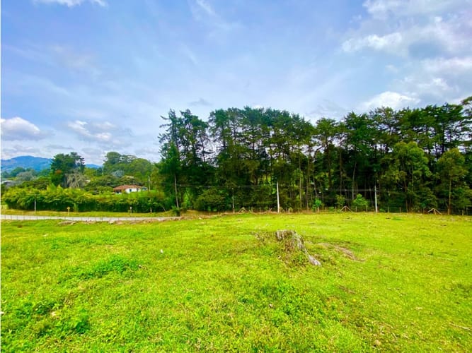 Lote en arriendo en Llano Grande, Rionegro, 20000 m² · foto 12 de 20