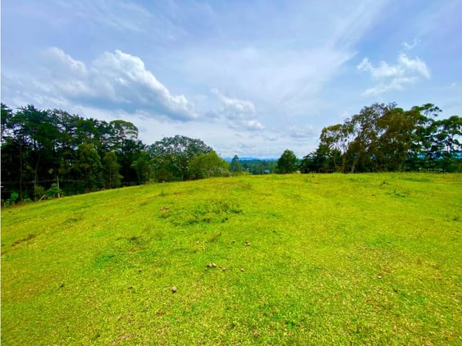 Lote en arriendo en Llano Grande, Rionegro, 20000 m² · foto 19 de 20