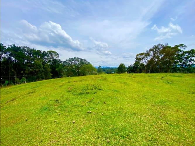 Lote en arriendo en Llano Grande, Rionegro, 20000 m² · foto 20 de 20