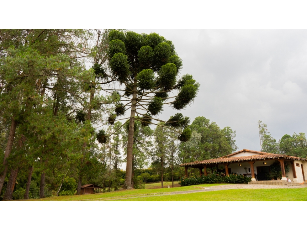 Casa en Arriendo en Llano Grande, Rionegro