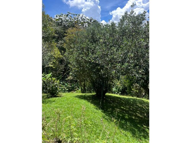 Casa de 5 alcobas en arriendo en Playa Rica-Rancheria, Rionegro, 400 m² · foto 7 de 24