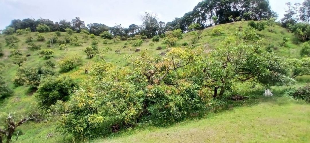 Finca en venta en Pantanillo, El Retiro, 50 m² · foto 2 de 15