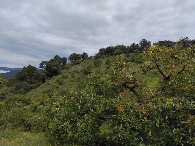 Finca en venta en Pantanillo, El Retiro, 50 m² · foto 4 de 15
