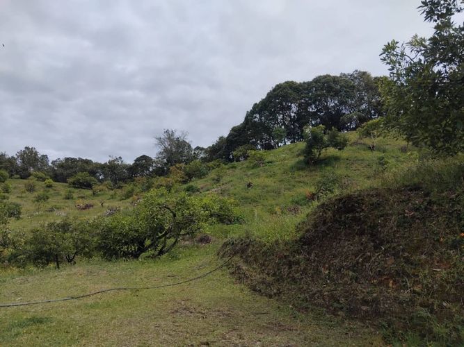 Finca en venta en Pantanillo, El Retiro, 50 m² · foto 5 de 15