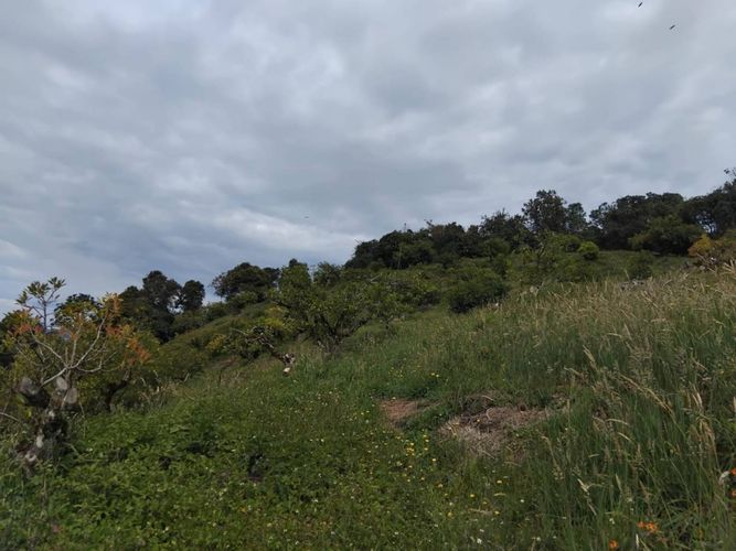 Finca en venta en Pantanillo, El Retiro, 50 m² · foto 6 de 15