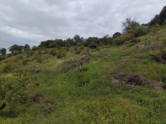 Finca en venta en Pantanillo, El Retiro, 50 m² · foto 7 de 15