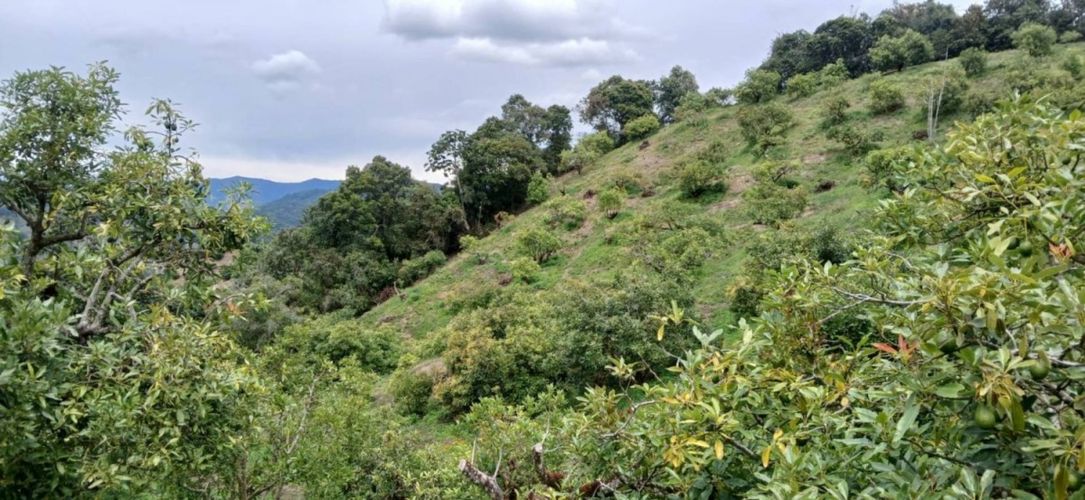 Finca en venta en Pantanillo, El Retiro, 50 m² · foto 9 de 15