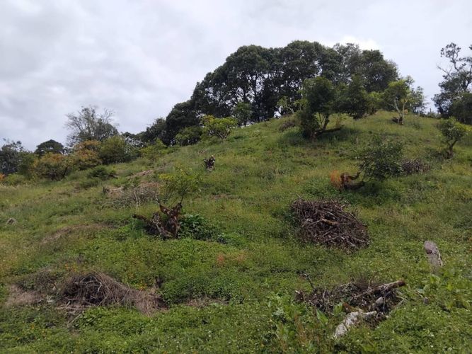 Finca en venta en Pantanillo, El Retiro, 50 m² · foto 10 de 15