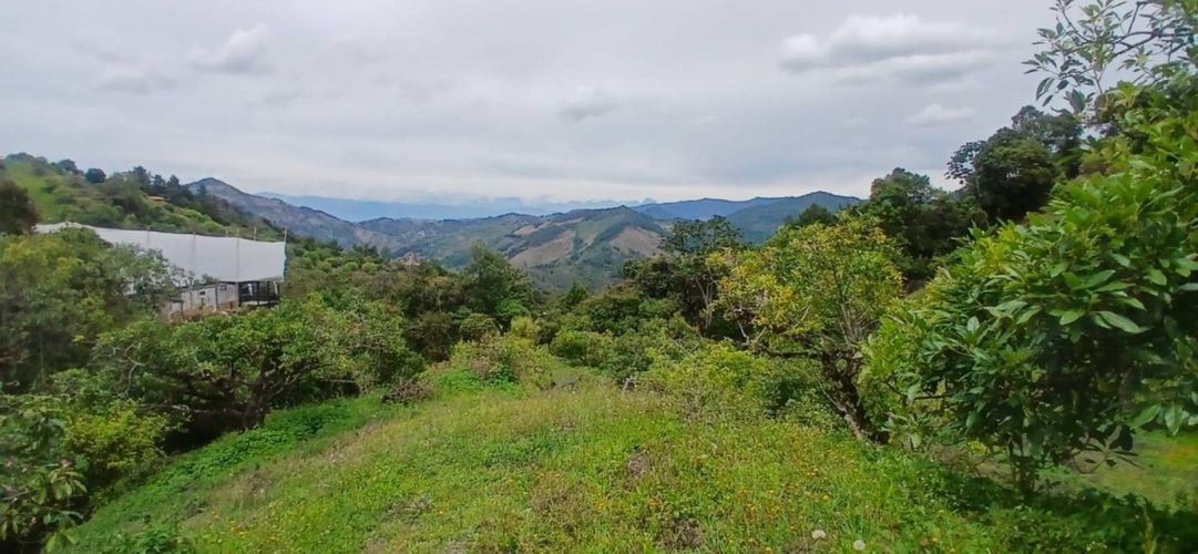 Finca en venta en Pantanillo, El Retiro, 50 m² · foto 11 de 15