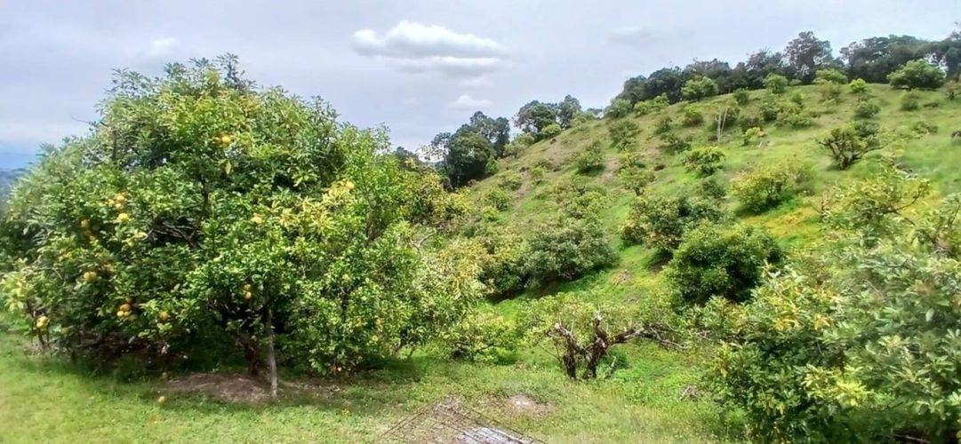 Finca en venta en Pantanillo, El Retiro, 50 m² · foto 12 de 15