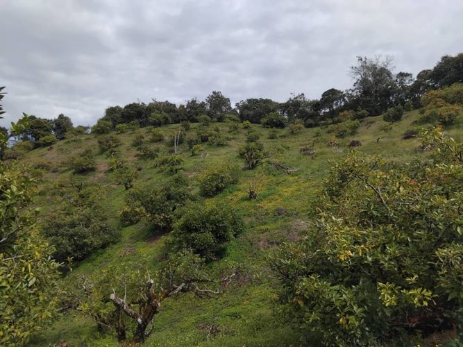 Finca en venta en Pantanillo, El Retiro, 50 m² · foto 13 de 15