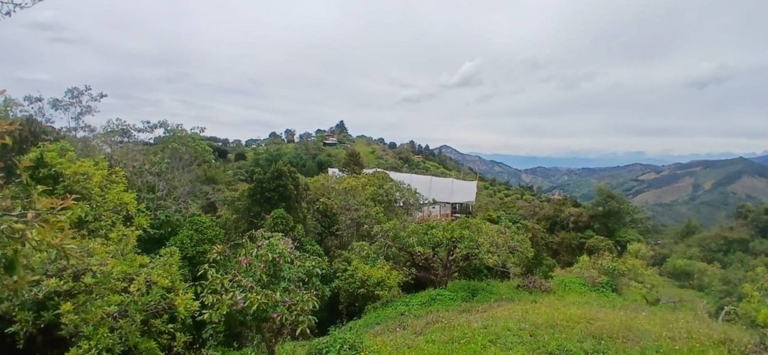 Finca en venta en Pantanillo, El Retiro, 50 m² · foto 15 de 15