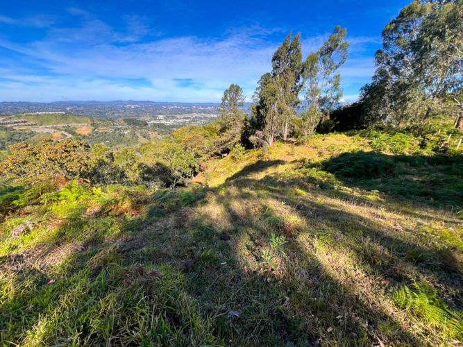 Lote en venta en Sajonia, Rionegro, 10000 m² · foto 2 de 20