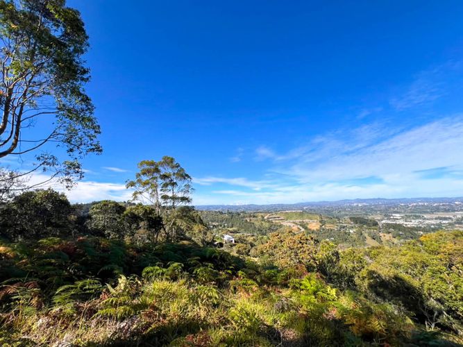 Lote en venta en Sajonia, Rionegro, 10000 m² · foto 4 de 20
