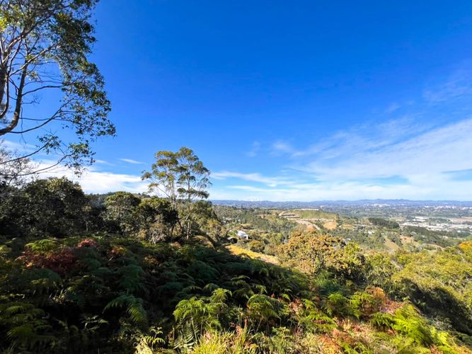 Lote en venta en Sajonia, Rionegro, 10000 m² · foto 5 de 20