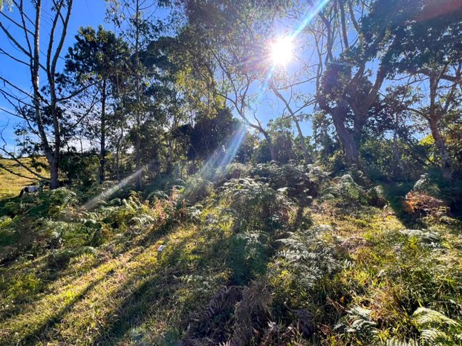 Lote en venta en Sajonia, Rionegro, 10000 m² · foto 6 de 20