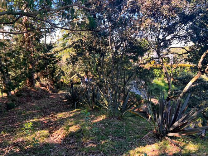 Lote en venta en Sajonia, Rionegro, 10000 m² · foto 7 de 20