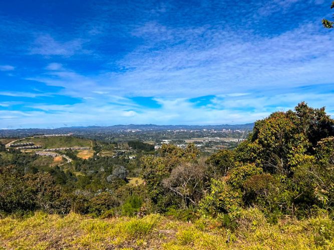 Lote en venta en Sajonia, Rionegro, 10000 m² · foto 8 de 20