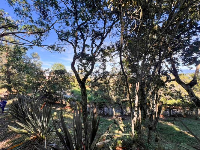 Lote en venta en Sajonia, Rionegro, 10000 m² · foto 9 de 20