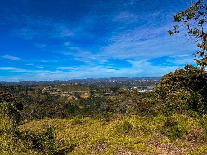 Lote en venta en Sajonia, Rionegro, 10000 m² · foto 13 de 20