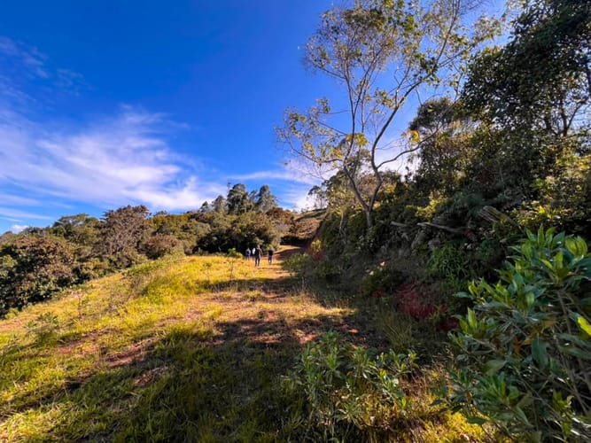 Lote en venta en Sajonia, Rionegro, 10000 m² · foto 15 de 20
