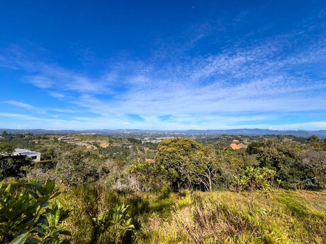 Lote en venta en Sajonia, Rionegro, 10000 m² · foto 16 de 20