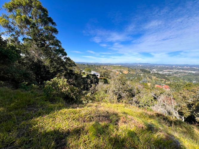Lote en venta en Sajonia, Rionegro, 10000 m² · foto 17 de 20