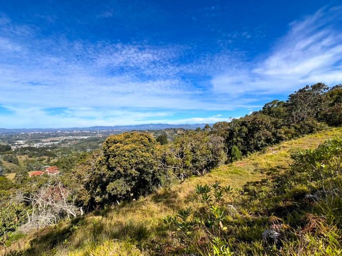 Lote en venta en Sajonia, Rionegro, 10000 m² · foto 19 de 20