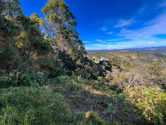 Lote en venta en Sajonia, Rionegro, 10000 m² · foto 20 de 20