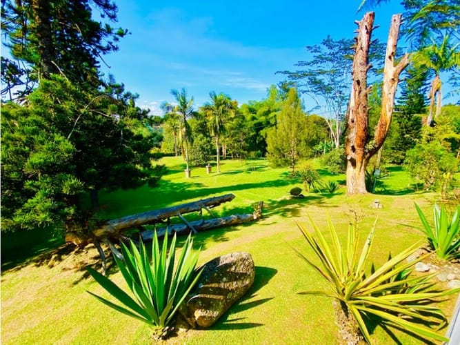 Casa de 5 alcobas en arriendo en El Capiro, Rionegro, 550 m² · foto 7 de 24