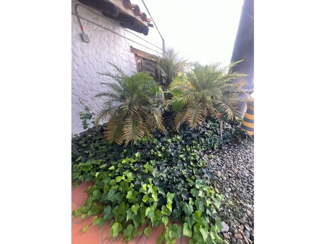 Lote en arriendo en Llano Grande, Rionegro, 200 m² · foto 9 de 14