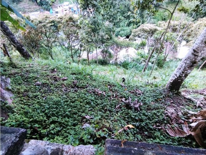 Casa de 6 alcobas en venta en El Salado, Envigado, 400 m² · foto 6 de 24