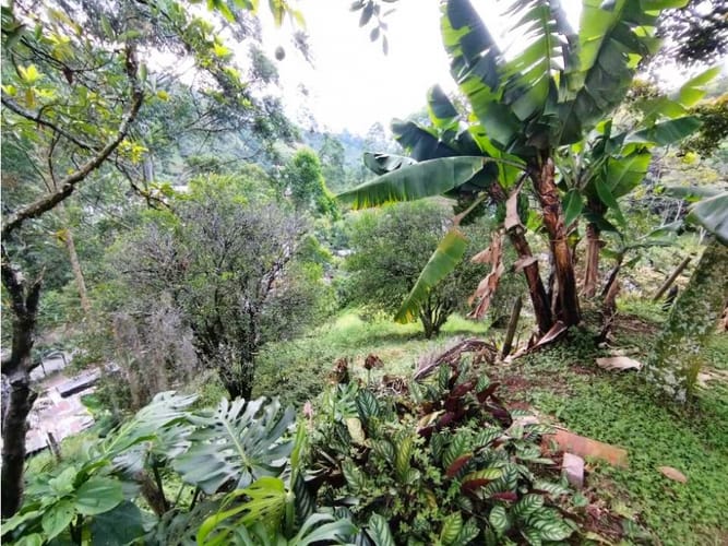 Casa de 6 alcobas en venta en El Salado, Envigado, 400 m² · foto 7 de 24