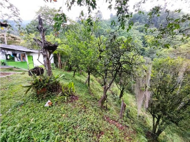 Casa de 6 alcobas en venta en El Salado, Envigado, 400 m² · foto 8 de 24