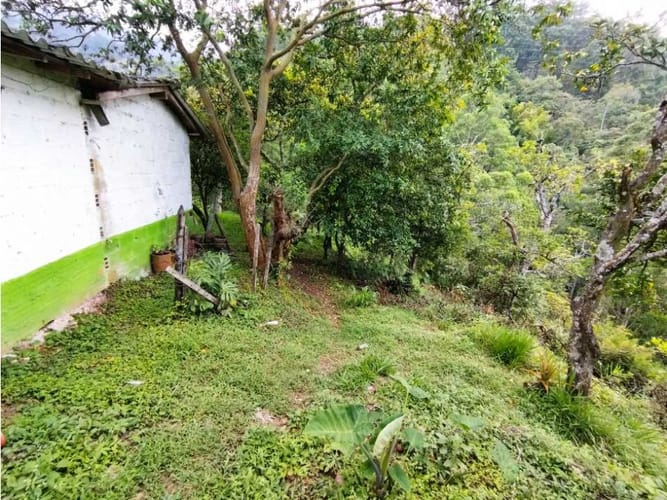 Casa de 6 alcobas en venta en El Salado, Envigado, 400 m² · foto 10 de 24
