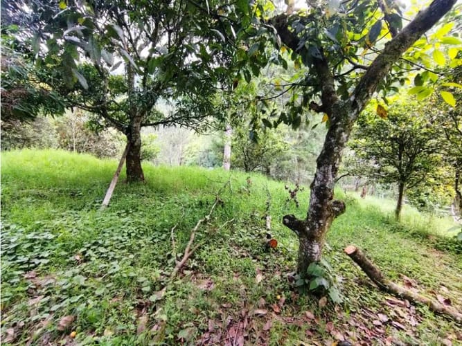 Casa de 6 alcobas en venta en El Salado, Envigado, 400 m² · foto 11 de 24