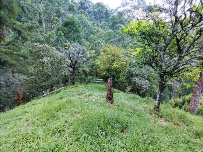 Casa de 6 alcobas en venta en El Salado, Envigado, 400 m² · foto 12 de 24