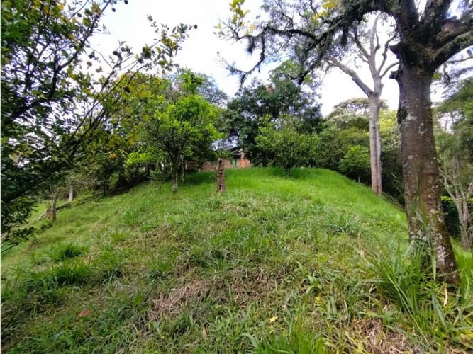 Casa de 6 alcobas en venta en El Salado, Envigado, 400 m² · foto 15 de 24