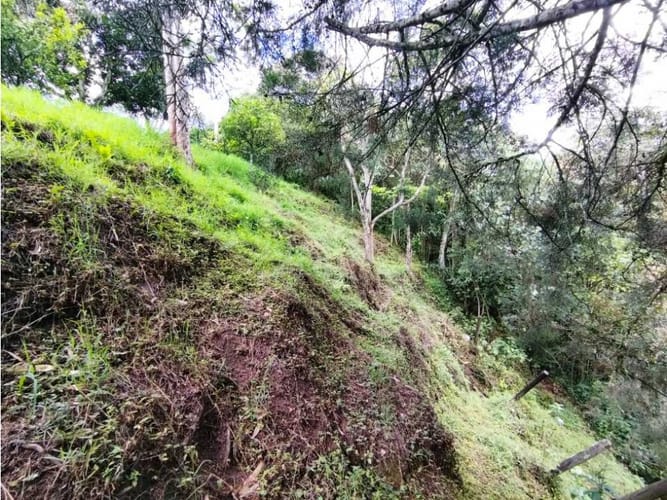 Casa de 6 alcobas en venta en El Salado, Envigado, 400 m² · foto 16 de 24
