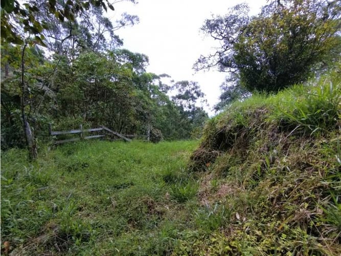 Casa de 6 alcobas en venta en El Salado, Envigado, 400 m² · foto 18 de 24